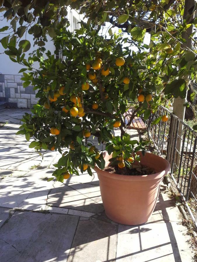 Apartma Bajci Ajdovščina Exteriör bild
