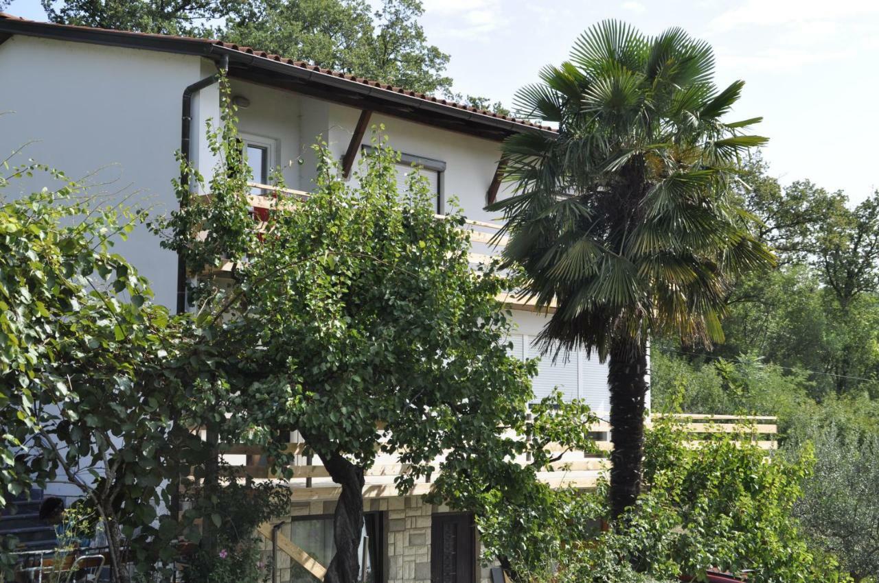 Apartma Bajci Ajdovščina Exteriör bild