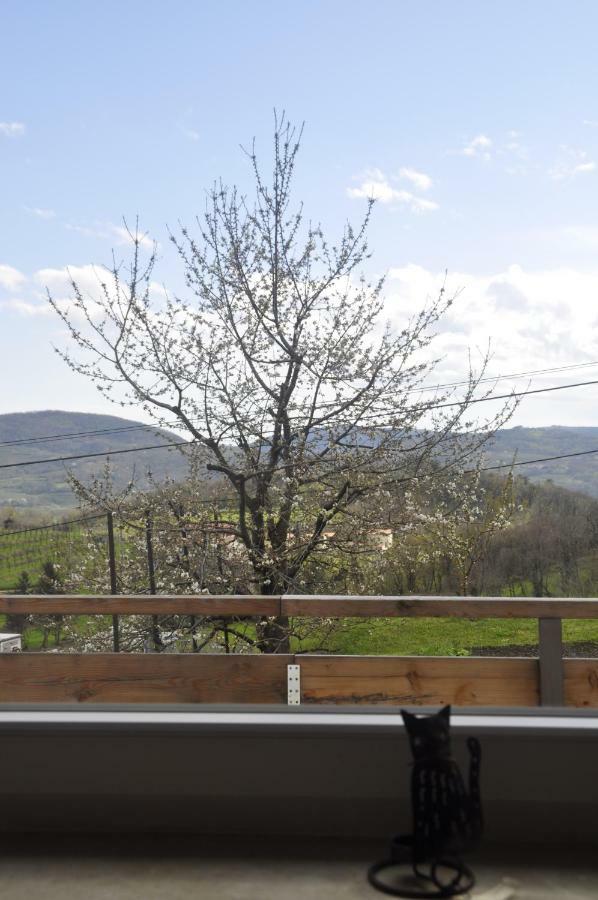 Apartma Bajci Ajdovščina Exteriör bild