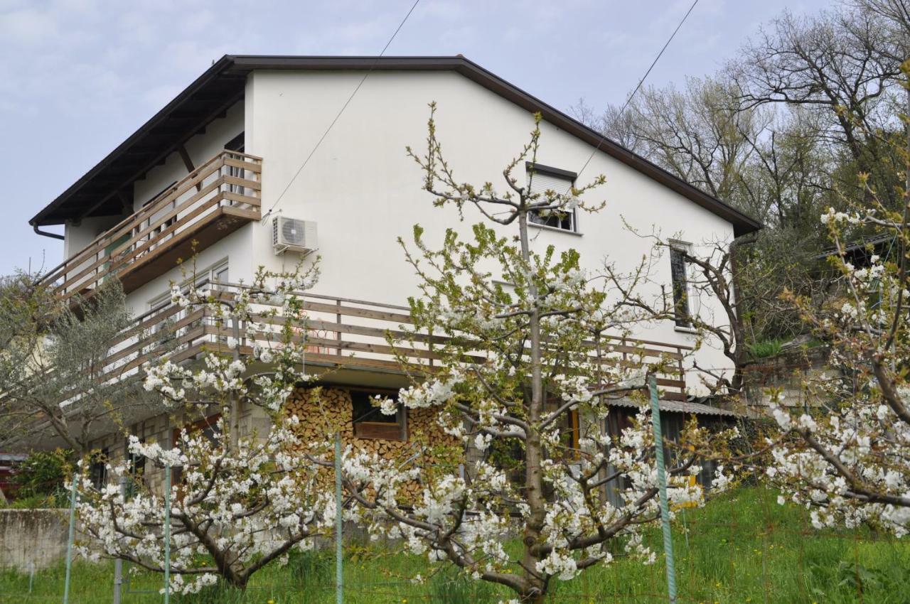 Apartma Bajci Ajdovščina Exteriör bild
